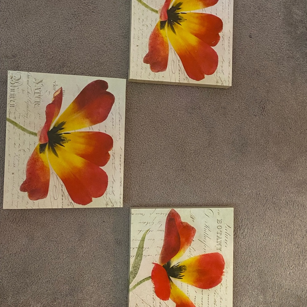 Botanical wall art